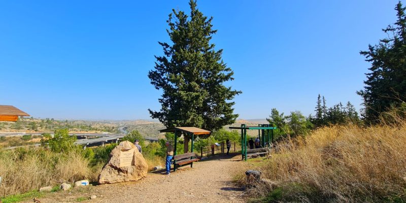 מסלול שביל פרחי הבר – חורבת דייר ומצפור אילן יער ראש העין