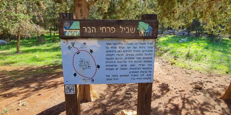 מסלול שביל פרחי הבר – חורבת דייר ומצפור אילן יער ראש העין