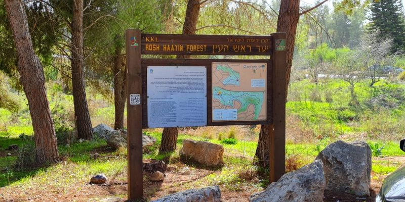 מסלול שביל פרחי הבר – חורבת דייר ומצפור אילן יער ראש העין