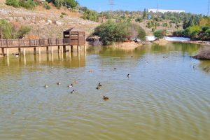 אגם הצלילים בראש העין – נחל רבה