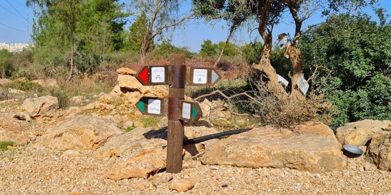 יער גבעת הכ"ח – אנדרטת חטיבת אלכסנדרוני יער קולה