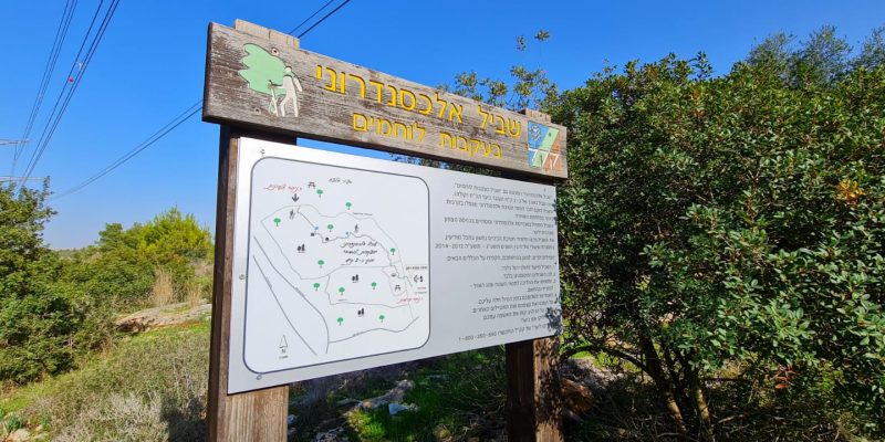 יער גבעת הכ"ח – אנדרטת חטיבת אלכסנדרוני יער קולה
