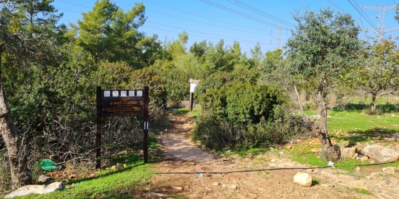 יער גבעת הכ"ח – אנדרטת חטיבת אלכסנדרוני יער קולה
