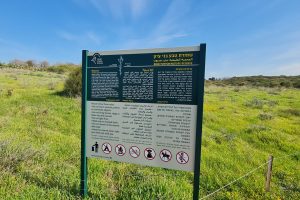 שמורת הטבע בני ציון