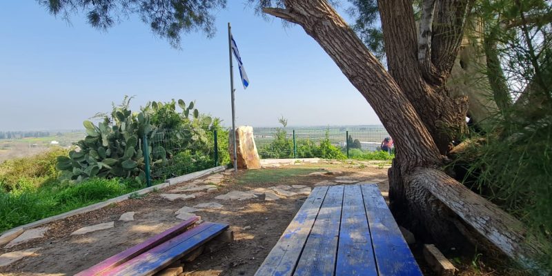 תל קטרה – מצפה קורל פריחת התורמוסים
