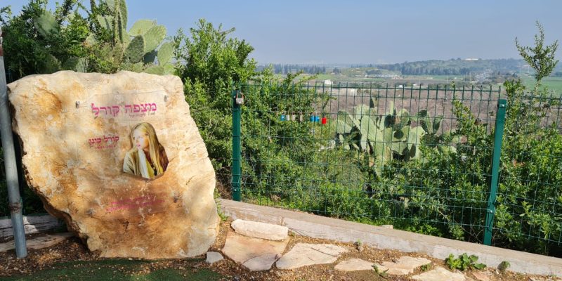 תל קטרה – מצפה קורל פריחת התורמוסים