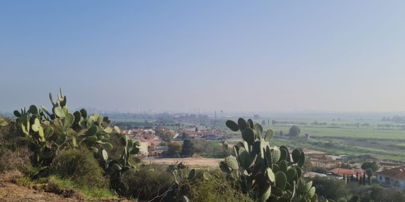 הנוף מתל יבנה