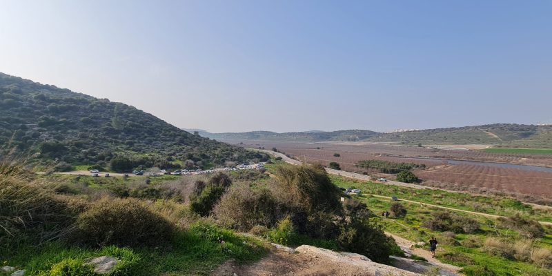 תל שוכה גבעת התורמוסים