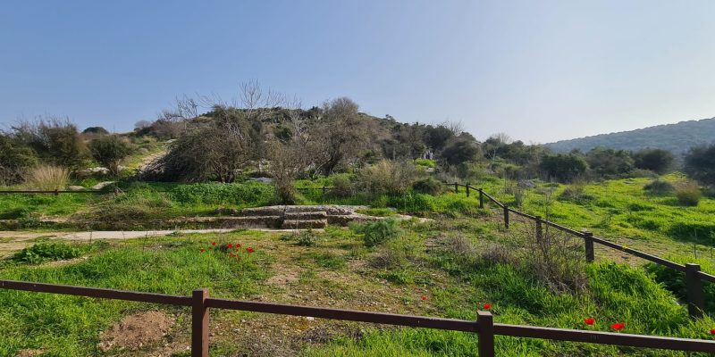 תל שוכה גבעת התורמוסים
