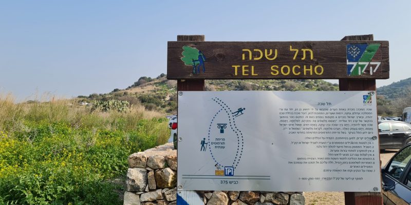 תל שוכה גבעת התורמוסים