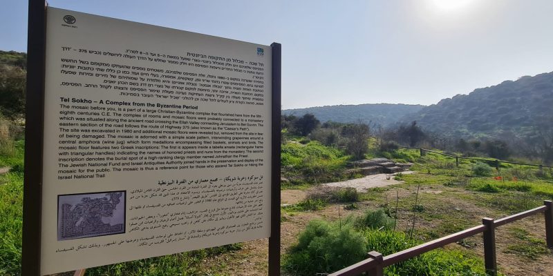 תל שוכה גבעת התורמוסים