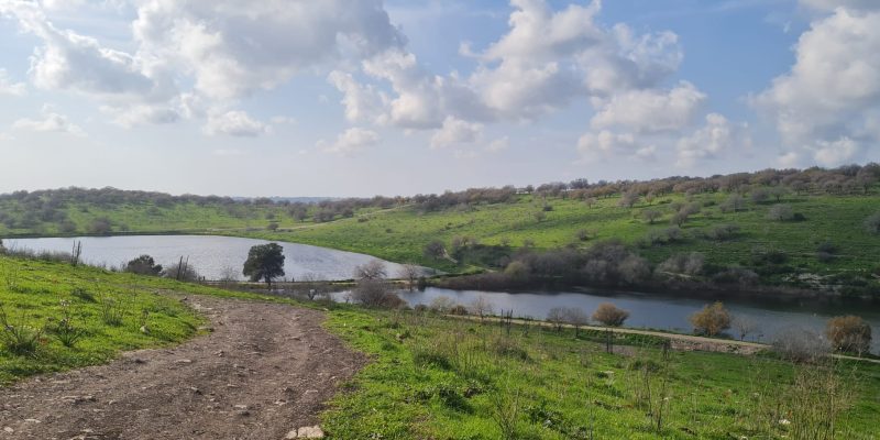 מאגר גלעד רמות מנשה
