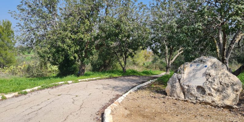 יער חרובית – פארק הלוחם