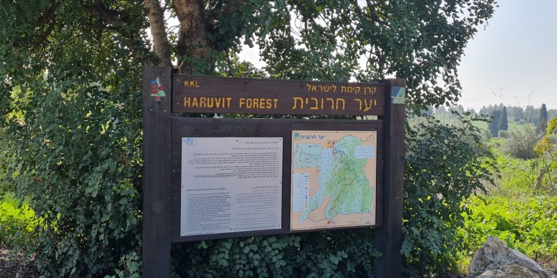 יער חרובית – פארק הלוחם