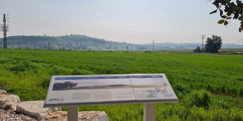 יער חרובית – פארק הלוחם