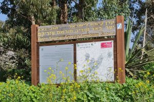 יער עזריקם באר טובה