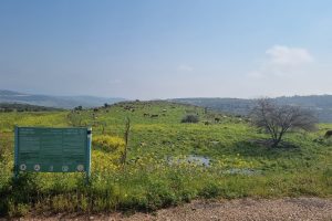 גן לאומי שדה עמודים - חורבת עמודים