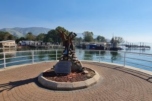 הבית בנמל – אטרקציה לילדים בנמל עין גב