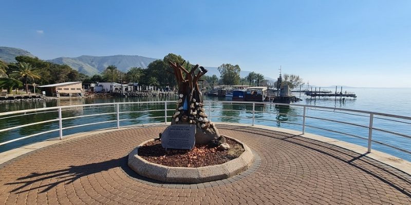 הבית בנמל – אטרקציה לילדים בנמל עין גב