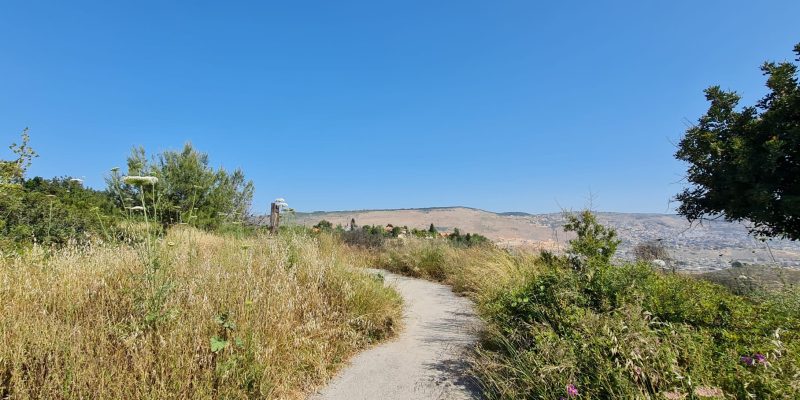 שביל ילדי צורית – הר גילון