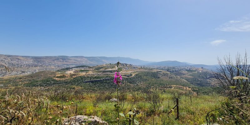 שביל ילדי צורית – הר גילון
