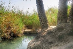 עין פלוטית המעיין הנסתר