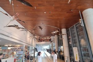 מוזיאון הטבע ע"ש שטיינהרדט באוניברסיטת תל אביב