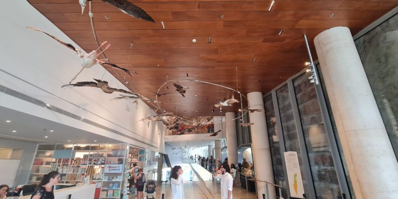 מוזיאון הטבע ע"ש שטיינהרדט באוניברסיטת תל אביב