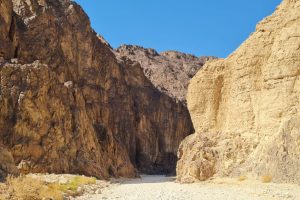 קניון שחורת - שמורת טבע הרי אילת