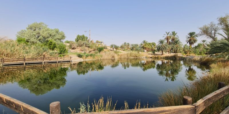 פארק ספיר בערבה