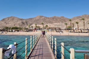 שמורת טבע חוף האלמוגים