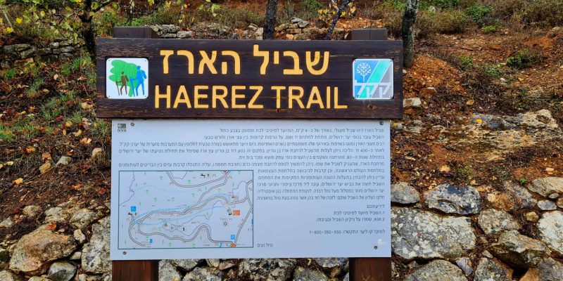 שביל הארז – יער ירושלים