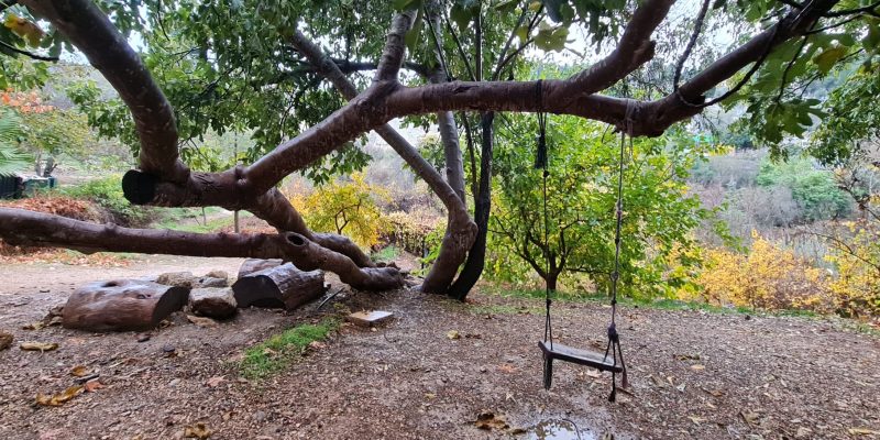 שביל סובב עין כרם – גן לאומי עין כרם