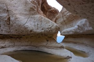 גב חלון – שמורת הטבע עין גדי