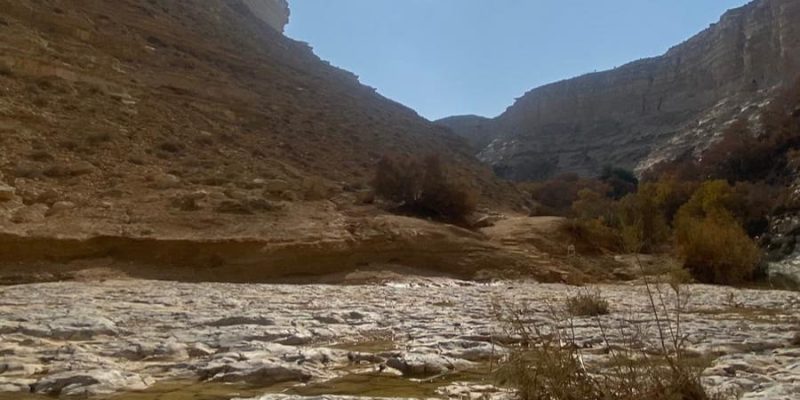 גן לאומי עין עבדת