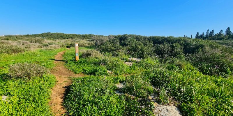 גבעת הפרחים וגבעת הצבעונית: החלק שקרוב לבית העלמין של מעגן מיכאל