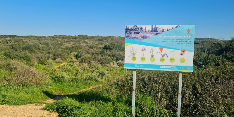 גבעת הפרחים וגבעת הצבעונית: החלק שקרוב לבית העלמין של מעגן מיכאל