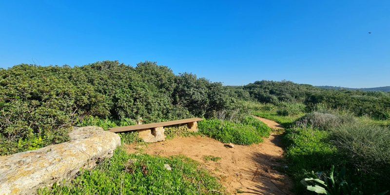 גבעת הפרחים וגבעת הצבעונית: החלק שקרוב לבית העלמין של מעגן מיכאל