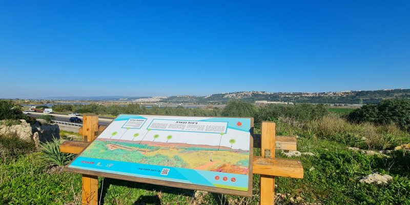 גבעת הפרחים וגבעת הצבעונית: החלק שקרוב לבית העלמין של מעגן מיכאל