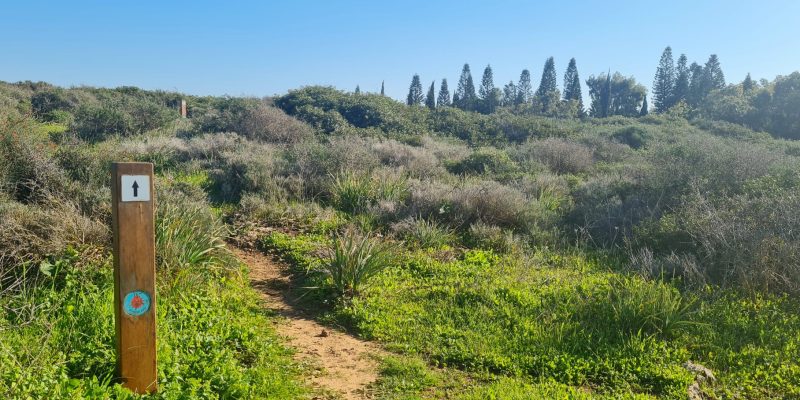 גבעת הפרחים וגבעת הצבעונית: החלק שקרוב לבית העלמין של מעגן מיכאל