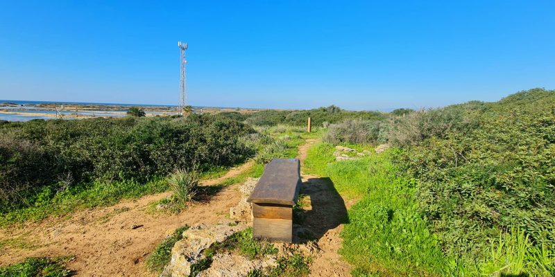 גבעת הפרחים וגבעת הצבעונית: החלק שקרוב לבית העלמין של מעגן מיכאל