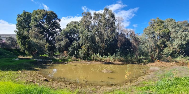 אקו פארק גלילות - חורשת דרזנר ושלולית החורף