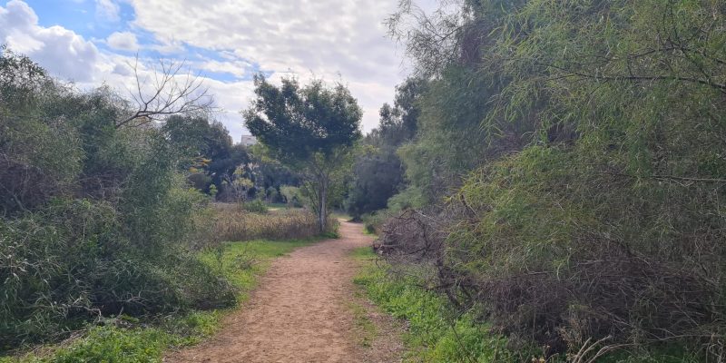 אקו פארק גלילות - חורשת דרזנר ושלולית החורף