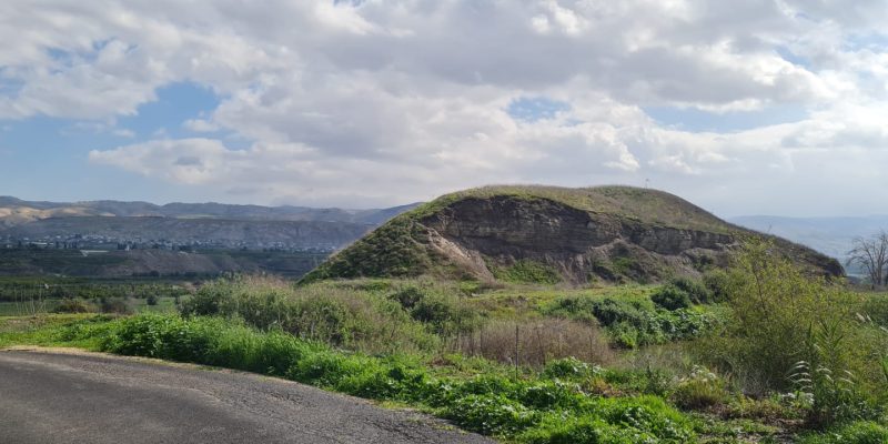 פארק הצפרות כפר רופין