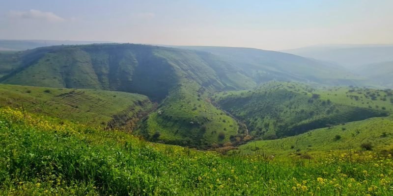 שמורת הטבע נחל תבור