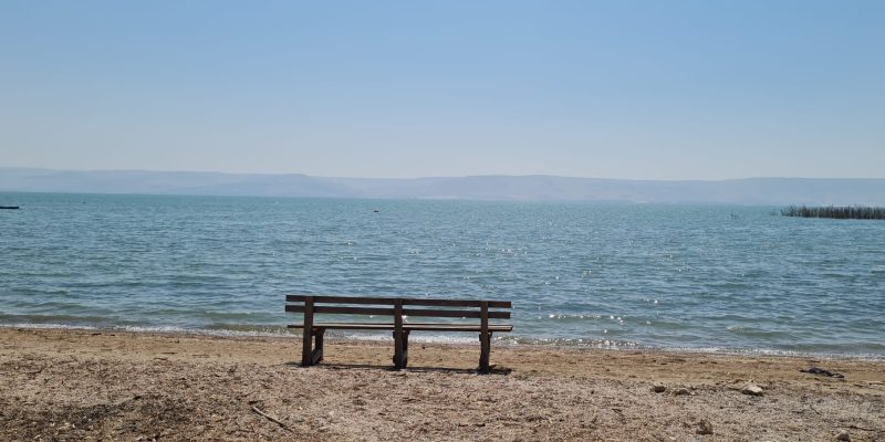 מרכז מבקרים מגדלא