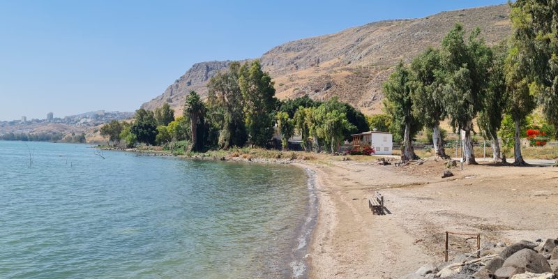 מרכז מבקרים מגדלא