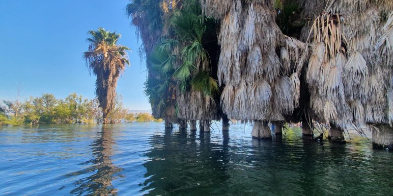 חוף חוקוק בחלקו הדרומי