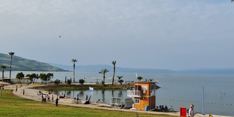 חוף צמח