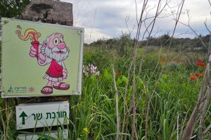 גבעת שר: מסלול פריחה עם נוף ושרידי ארכאולוגיה